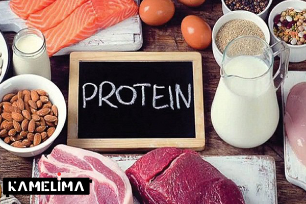 پروتئین برای کاهش وزن