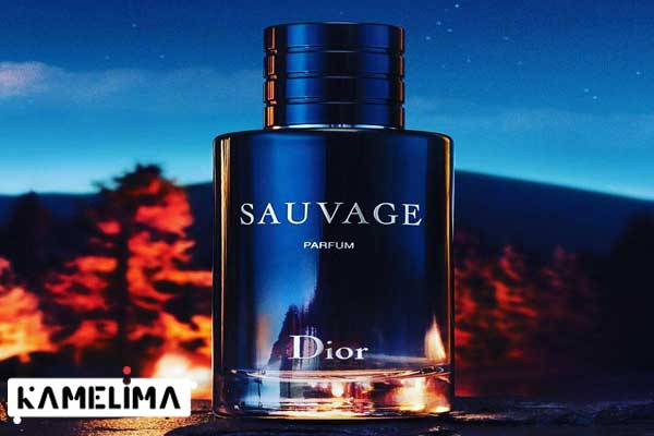 ادکلن مردانه سویج - Sauvage Dior  