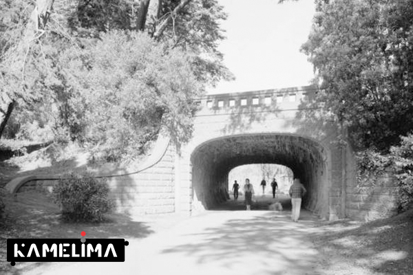 1889 - اولین پل بتن مسلح - پل دریاچه آلوورد، سان‌فرانسیسکو
