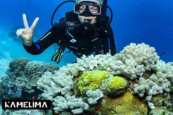 دیواره مرجانی بزرگ از جاهای دیدنی استرالیا