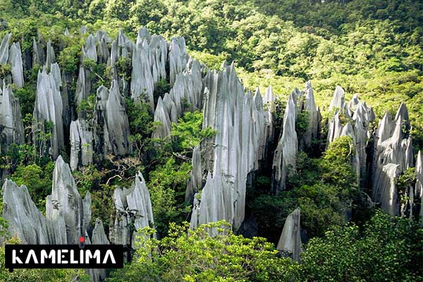 پارک ملی گونونگ مولو ؛ ساراواک معروف به غار گوزن