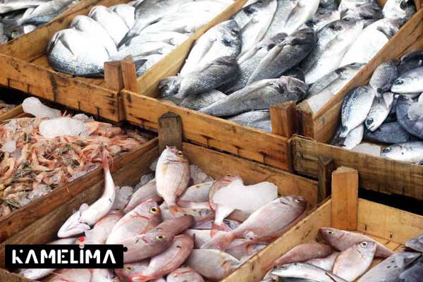 بازار ماهی معروف بندرعباس