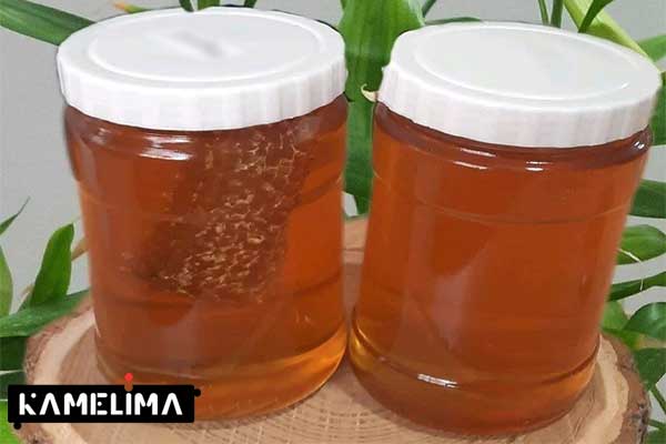 فواید عسل برای سلامتی بدن