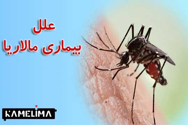 علل بیماری مالاریا