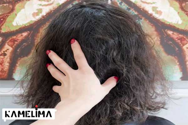 9 نرم کننده خانگی مو برتر برای موهای خشک