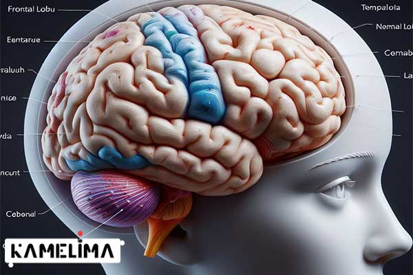 آمبولی مغزی به چه معناست؟